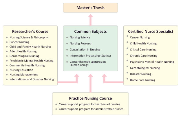 Nursing master's thesis