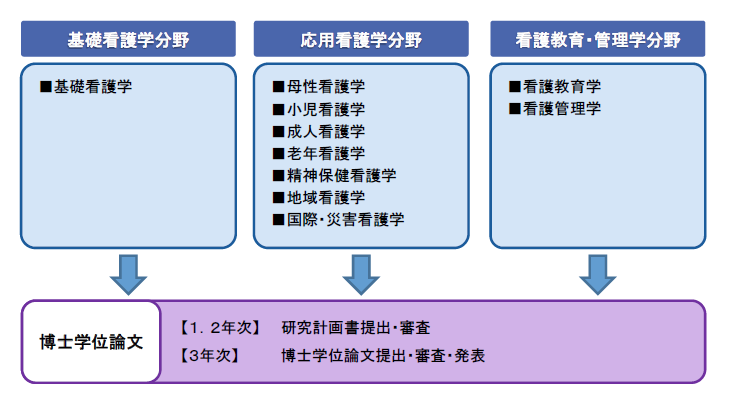 は と 博士 課程