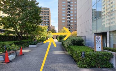 医療センターの脇道を直進