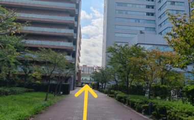 正面に大学が見えてきます。